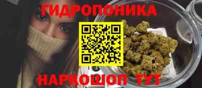 скорость Заводоуковск