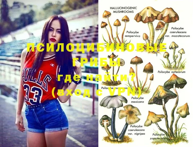 Галлюциногенные грибы MAGIC MUSHROOMS  Кореновск 